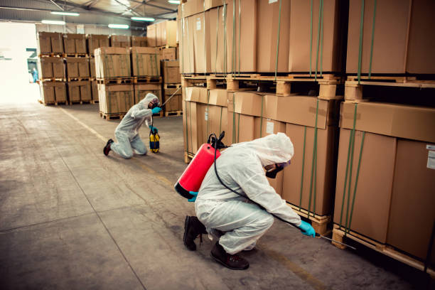 Best Local Pest Control Services  in Summerfield, MD