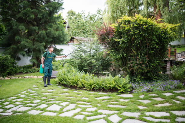 Best Best Pest Control Companies  in Summerfield, MD