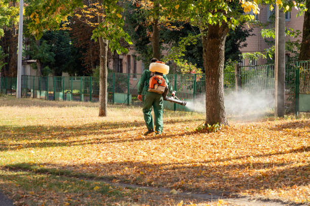 Best Emergency Pest Control  in Summerfield, MD