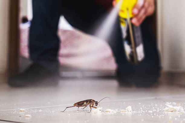 Best Pest Control for Homes  in Summerfield, MD