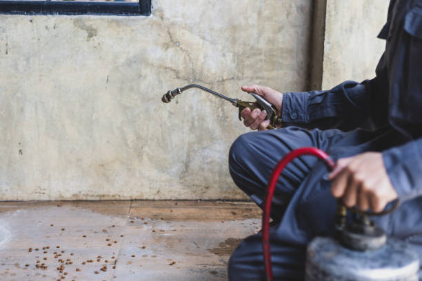 Best Best Pest Control Companies  in Summerfield, MD